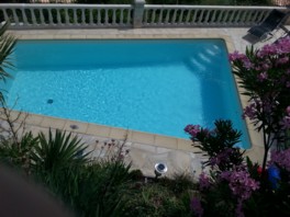 pool hang